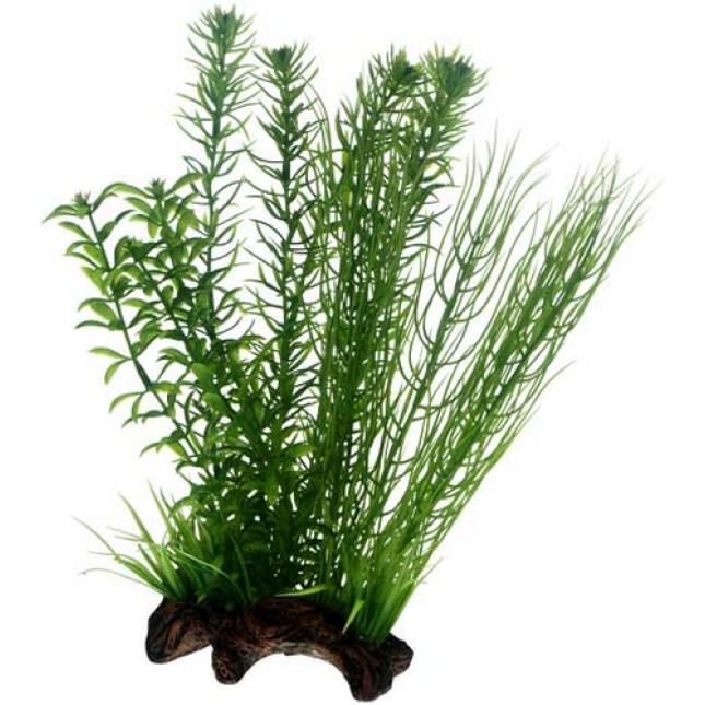 Hobby Διακοσμητικό τεχνητό φυτό Flora Root 2 ζωντανό αντίγραφο Hobby Διακοσμητικό τεχνητό φυτό Flora Root 2 ζωντανό αντίγραφο