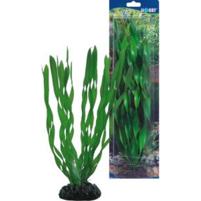 Hobby Vallisneria πλαστικό διακοσμητικό φυτό για ενυδρεία Hobby Vallisneria πλαστικό διακοσμητικό φυτό για ενυδρεία