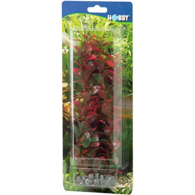 Hobby Ludwigia πλαστικό διακοσμητικό φυτό για ενυδρεία