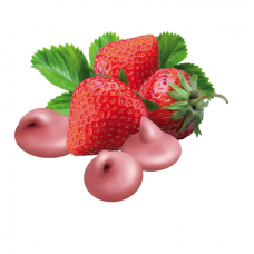 trixie λιχουδιά τρωκτικών mini drops φράουλα 75 gr.