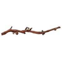 Trixie ξύλο κληματαριάς  κατάλληλο για ερπετά (40-60cm)