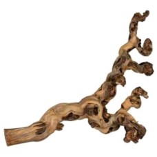 Trixie ξύλο κληματαριάς xl κατάλληλο για ερπετά (55-80cm)