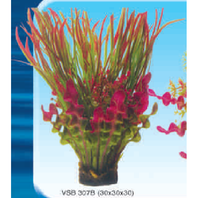 VITALITY ΣΥΝΘΕΣΗ ΦΥΤΩΝ 30x30x30 εκ VITALITY ΣΥΝΘΕΣΗ ΦΥΤΩΝ 30x30x30 εκ