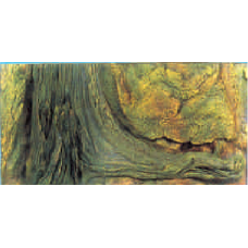 MAD BACKROUNDS MAD BACKROUNDS