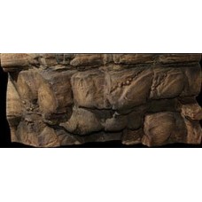 HOBBY BACKGROUND MALAWI 60x55 HOBBY BACKGROUND MALAWI 60x55