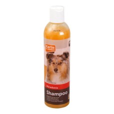 ΣΑΜΠΟΥΑΝ MACADAMIA 300ml ΣΑΜΠΟΥΑΝ MACADAMIA 300ml