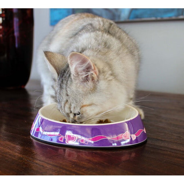 Rogz catz μπολ γάτας Fishcake bowlz small ειδικά σχεδιασμένο για να μην λερώνονται τα μουστάκια της Rogz catz μπολ γάτας Fishcake bowlz small ειδικά σχεδιασμένο για να μην λερώνονται τα μουστάκια της