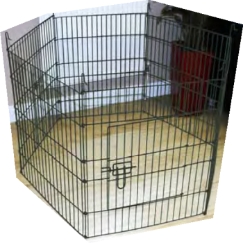 Πάρκο puppy hexagon player 61x91cm πολύχρωμο Πάρκο puppy hexagon player 61x91cm πολύχρωμο