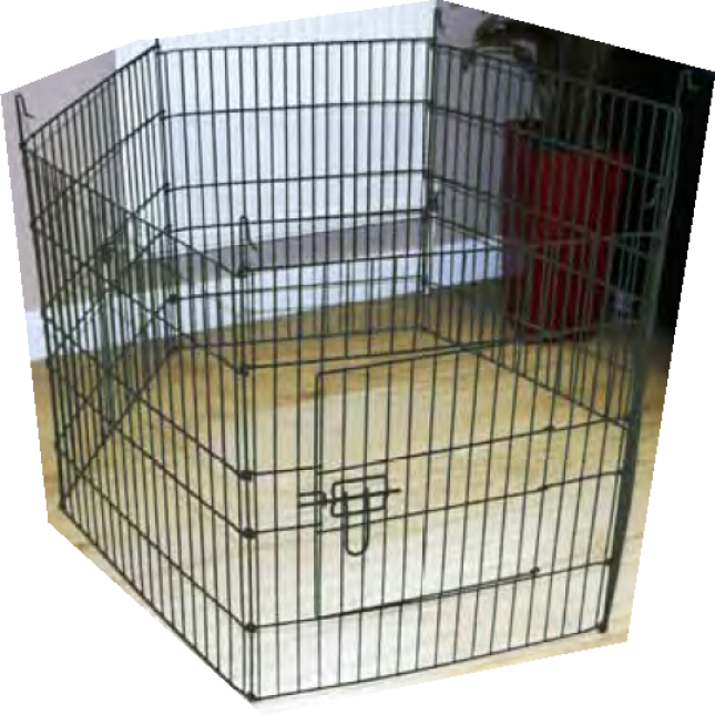 Πάρκο puppy hexagon player 61x91cm πολύχρωμο Πάρκο puppy hexagon player 61x91cm πολύχρωμο