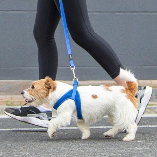 Rogz dogz σαμαράκι σκύλου Utility fast-fit harness κόκκινο, απαραίτητο για τα ενεργά σκυλιά Rogz dogz σαμαράκι σκύλου Utility fast-fit harness κόκκινο, απαραίτητο για τα ενεργά σκυλιά