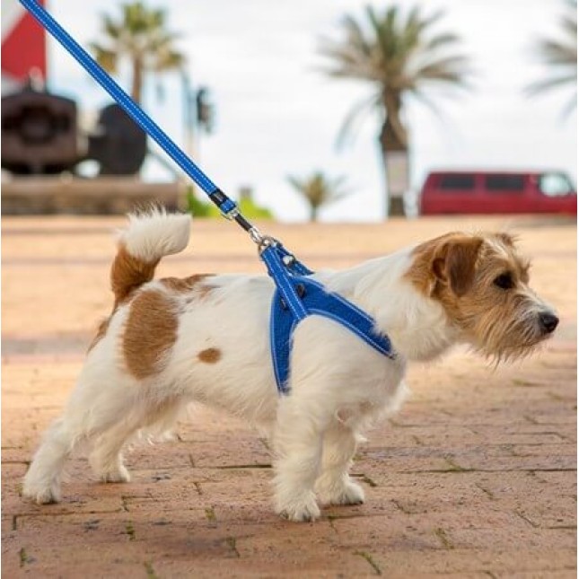 Rogz dogz σαμαράκι σκύλου Utility fast-fit harness κόκκινο, απαραίτητο για τα ενεργά σκυλιά Rogz dogz σαμαράκι σκύλου Utility fast-fit harness κόκκινο, απαραίτητο για τα ενεργά σκυλιά
