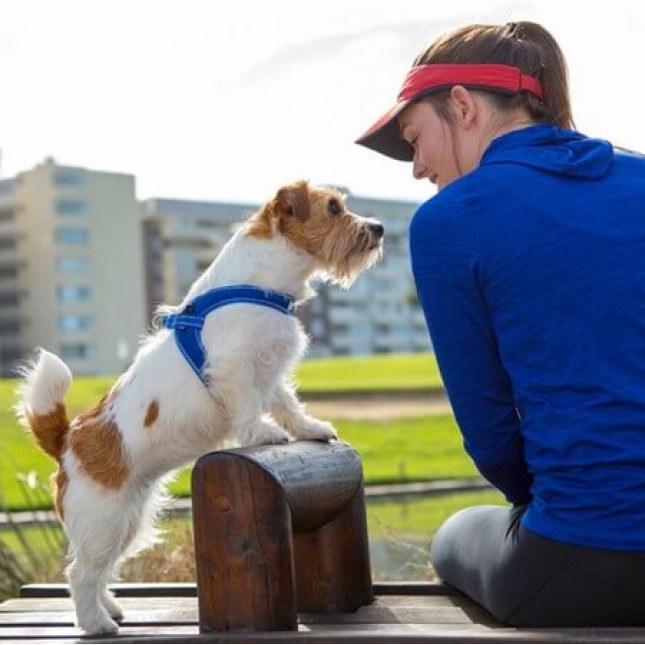 Rogz dogz σαμαράκι σκύλου Utility fast-fit harness κόκκινο, απαραίτητο για τα ενεργά σκυλιά Rogz dogz σαμαράκι σκύλου Utility fast-fit harness κόκκινο, απαραίτητο για τα ενεργά σκυλιά
