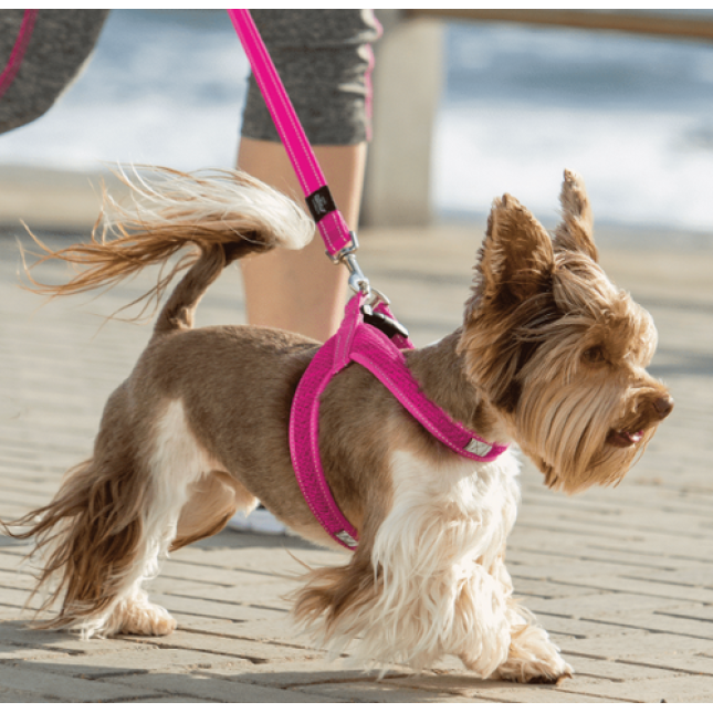 Rogz dogz σαμαράκι σκύλου Utility fast-fit harness κόκκινο, απαραίτητο για τα ενεργά σκυλιά Rogz dogz σαμαράκι σκύλου Utility fast-fit harness κόκκινο, απαραίτητο για τα ενεργά σκυλιά