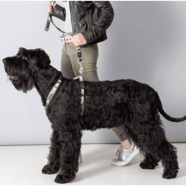 Rogz dogz Οδηγός Σκύλου Fancy dress fixed lead Navy Paw σε ιμάντα υψηλής ποιότητας και αντοχής