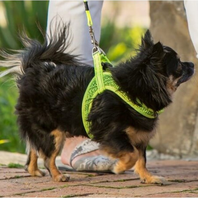 Rogz dogz σαμαράκι σκύλου Utility fast-fit harness πράσινο, απαραίτητο για τα ενεργά σκυλιά Rogz dogz σαμαράκι σκύλου Utility fast-fit harness πράσινο, απαραίτητο για τα ενεργά σκυλιά