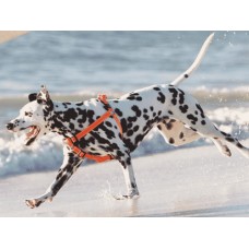 Rogz dogz σαμαράκι Utility Step-in Harness Reflective μπλε