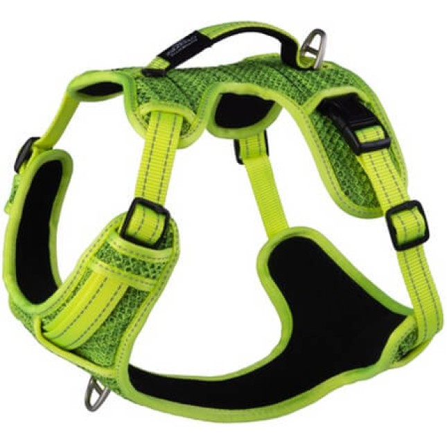 Rogz dogz σαμαράκι σκύλου Utility Explore Harness πράσινο, εξασφαλίζει άνεση και πρόσθετο έλεγχο Rogz dogz σαμαράκι σκύλου Utility Explore Harness πράσινο, εξασφαλίζει άνεση και πρόσθετο έλεγχο