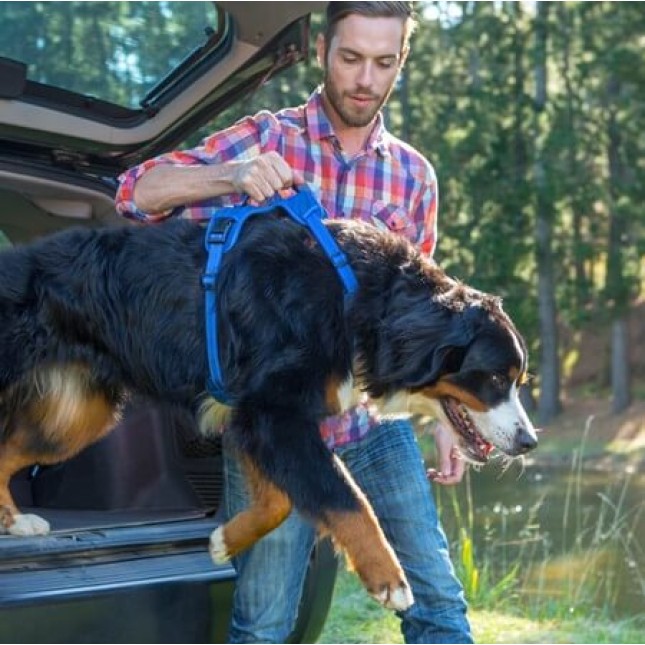 Rogz dogz σαμαράκι σκύλου Utility Explore Harness πράσινο, εξασφαλίζει άνεση και πρόσθετο έλεγχο Rogz dogz σαμαράκι σκύλου Utility Explore Harness πράσινο, εξασφαλίζει άνεση και πρόσθετο έλεγχο