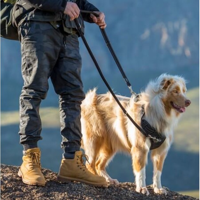 Rogz dogz σαμαράκι σκύλου Utility Explore Harness πράσινο, εξασφαλίζει άνεση και πρόσθετο έλεγχο Rogz dogz σαμαράκι σκύλου Utility Explore Harness πράσινο, εξασφαλίζει άνεση και πρόσθετο έλεγχο