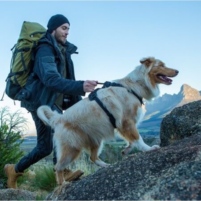 Rogz dogz σαμαράκι σκύλου Utility Explore Harness πράσινο, εξασφαλίζει άνεση και πρόσθετο έλεγχο Rogz dogz σαμαράκι σκύλου Utility Explore Harness πράσινο, εξασφαλίζει άνεση και πρόσθετο έλεγχο