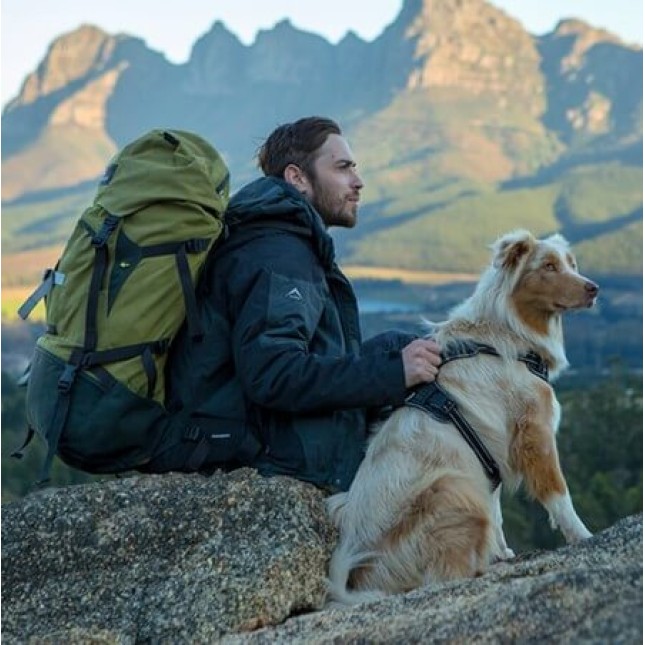 Rogz dogz σαμαράκι σκύλου Utility Explore Harness πράσινο, εξασφαλίζει άνεση και πρόσθετο έλεγχο Rogz dogz σαμαράκι σκύλου Utility Explore Harness πράσινο, εξασφαλίζει άνεση και πρόσθετο έλεγχο