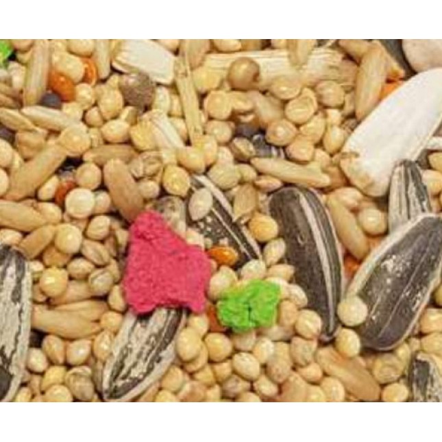 GZM Kiki πλήρες μίγμα  σπόρων για love birds,  παπαγαλοειδή και κοκατίλ