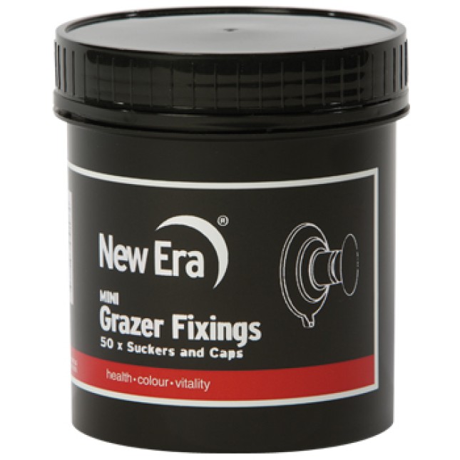 NEW ERA GRAZER SUTION FIXING