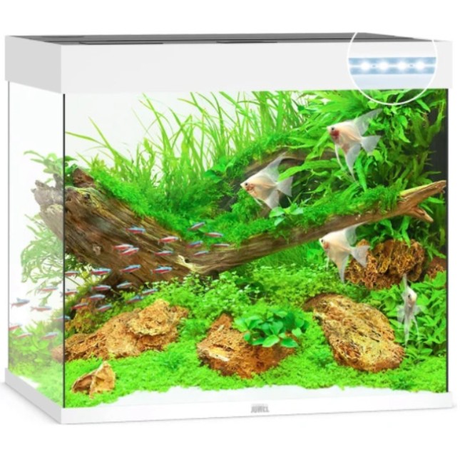 Juwel Lido LED Aquarium Λευκό ταιριάζει κομψά σε κάθε περιβάλλον χάρη στον διακριτικό σχεδιασμό του