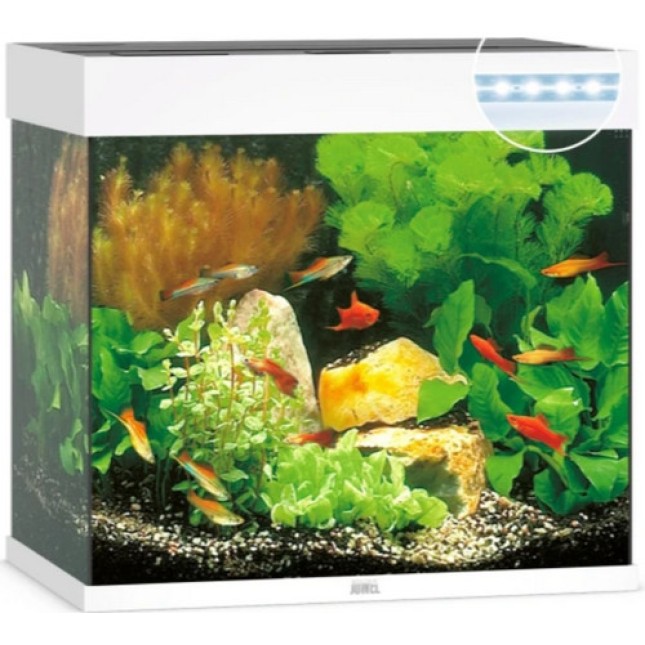 Juwel Lido LED Aquarium Λευκό ταιριάζει κομψά σε κάθε περιβάλλον χάρη στον διακριτικό σχεδιασμό του