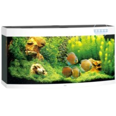 Juwel Vision 260 LED ενυδρείο Λευκό 121x46x64cm Juwel Vision 260 LED ενυδρείο Λευκό 121x46x64cm