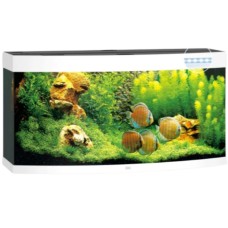 Juwel Vision 260 LED ενυδρείο Λευκό 121x46x64cm