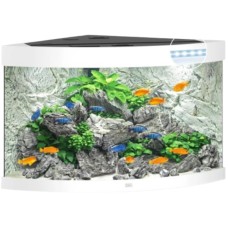 Juwel Trigon 190 LED ενυδρείο Λευκό 98,5x70x60cm Juwel Trigon 190 LED ενυδρείο Λευκό 98,5x70x60cm