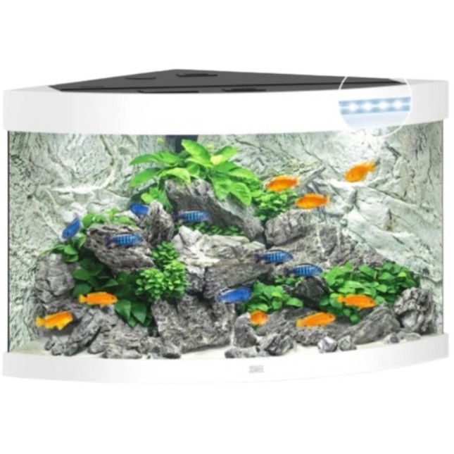 Juwel Trigon 190 LED ενυδρείο Λευκό 98,5x70x60cm Juwel Trigon 190 LED ενυδρείο Λευκό 98,5x70x60cm