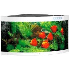 Juwel Trigon 350 LED ενυδρείο Λευκό 123x87x65cm Juwel Trigon 350 LED ενυδρείο Λευκό 123x87x65cm