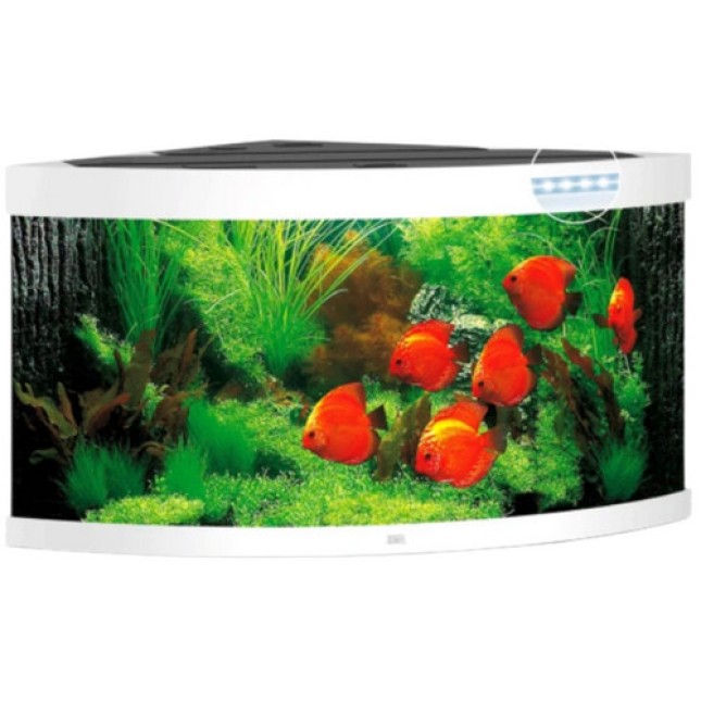 Juwel Trigon 350 LED ενυδρείο Λευκό 123x87x65cm Juwel Trigon 350 LED ενυδρείο Λευκό 123x87x65cm