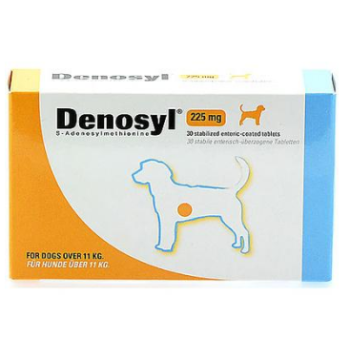 BIOIBERICA DENOSYL ΔΙΑΤΡΟΦΙΚΟ ΣΥΜΠΛΗΡΩΜΑ 225mg