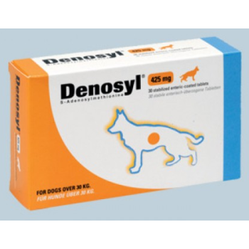 BIOIBERICA DENOSYL ΔΙΑΤΡΟΦΙΚΟ ΣΥΜΠΛΗΡΩΜΑ 425mg
