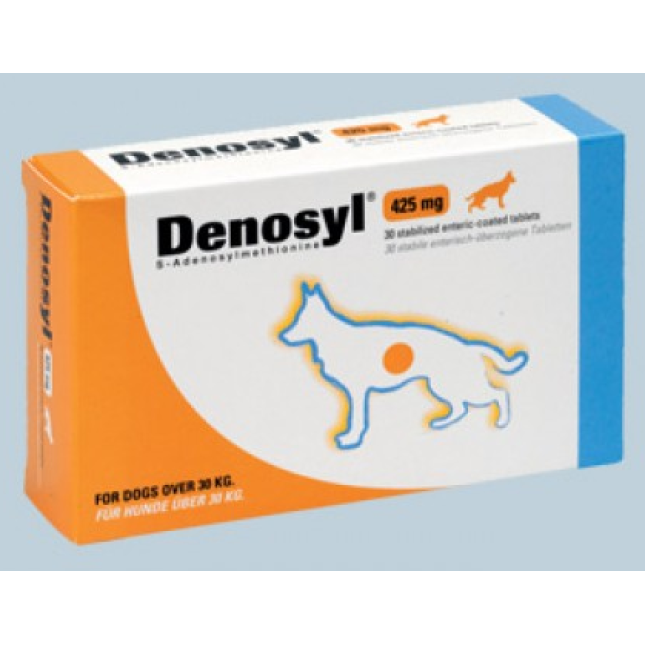 BIOIBERICA DENOSYL ΔΙΑΤΡΟΦΙΚΟ ΣΥΜΠΛΗΡΩΜΑ 425mg