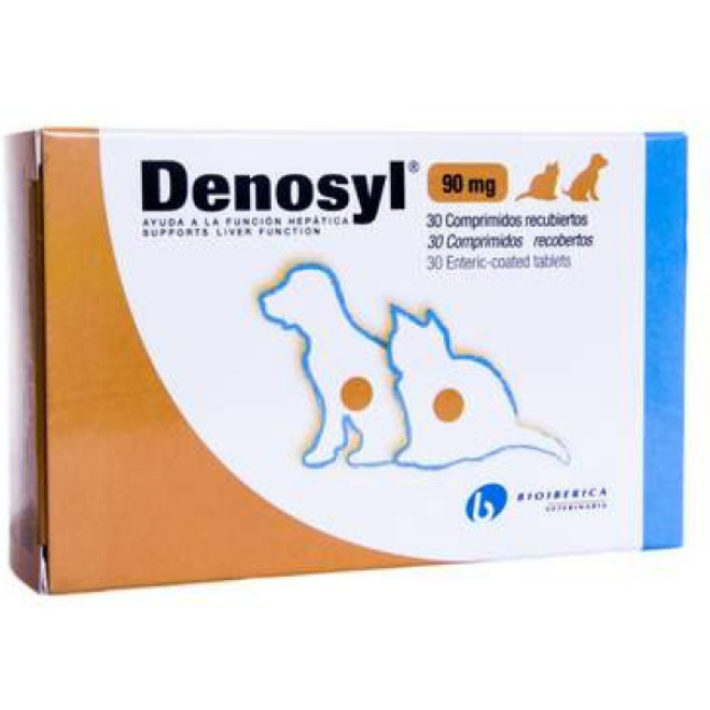 BIOIBERICA DENOSYL ΔΙΑΤΡΟΦΙΚΟ ΣΥΜΠΛΗΡΩΜΑ 90mg