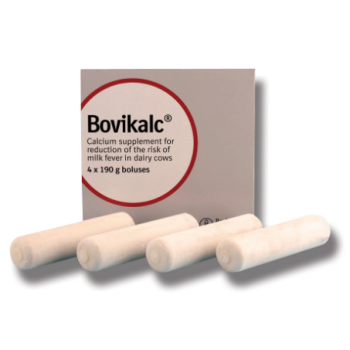 BIOVIKALC 4 ΒΩΛΟΙ ΑΣΒΕΣΤΙΟΥ ΓΙΑ ΒΟΟΕΙΔΗ180gr