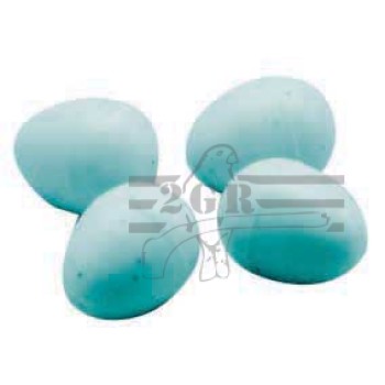 Χρωματιστά αυγά αναπαραγωγής  1,3Χ1,6 cm