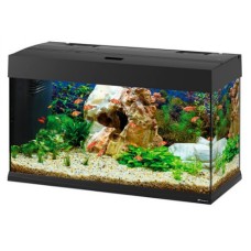 ferplast ενυδρείο dubai 80 led μαύρο 81x36x51 125 L ferplast ενυδρείο dubai 80 led μαύρο 81x36x51 125 L