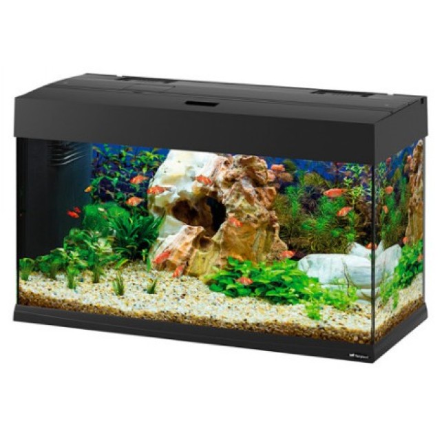 ferplast ενυδρείο dubai 80 led μαύρο 81x36x51 125 L ferplast ενυδρείο dubai 80 led μαύρο 81x36x51 125 L