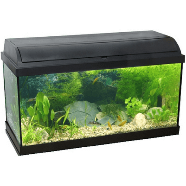 Ενυδρείο pacific 50 με biofilter 37,5lt Ενυδρείο pacific 50 με biofilter 37,5lt