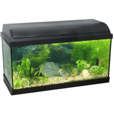 Ενυδρείο pacific 60 με biofilter 54lt Ενυδρείο pacific 60 με biofilter 54lt