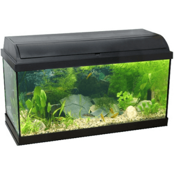 Ενυδρείο pacific 60 με biofilter 54lt Ενυδρείο pacific 60 με biofilter 54lt