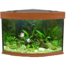 Ενυδρείο coral 100 κερασί Ενυδρείο coral 100 κερασί