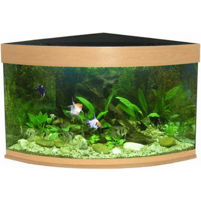 Ενυδρείο coral 100 οξυά Ενυδρείο coral 100 οξυά