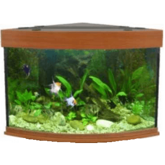 Ενυδρείο coral 120 κερασί Ενυδρείο coral 120 κερασί