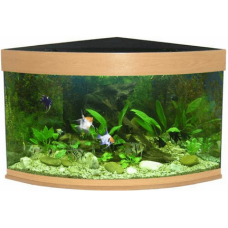 Ενυδρείο coral 120 οξυά Ενυδρείο coral 120 οξυά